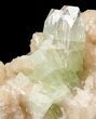 Zoned Apophyllite Crystals on Stilbite (Repaired) - India #44377-2